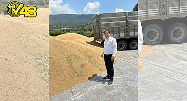 BUĞDAY ÜRETİCİSİNİN MERAKLA BEKLEDİĞİ HUBUBAT FİYATLARI BELLİ OLDU