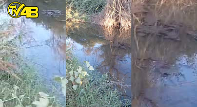 VATANDAŞ TEPKİLİ: "ARITILMAMIŞ PİS SU SARIÇAY'A BIRAKILIYOR"