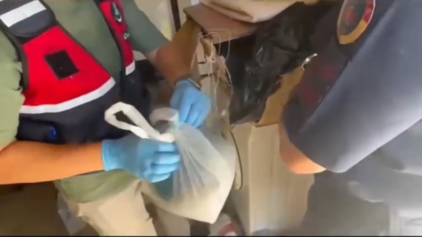 Muğla’da Uyuşturucu Operasyonu: 25 Kök Kenevir ve Kilolarca Esrar Ele Geçirildi