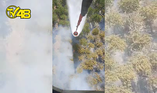 AYDIN ÇİNE'DE MADRAN DAĞI BÖLGESİNDE ZİRAİ ALAN YANGINI: MÜDAHALE SÜRÜYOR