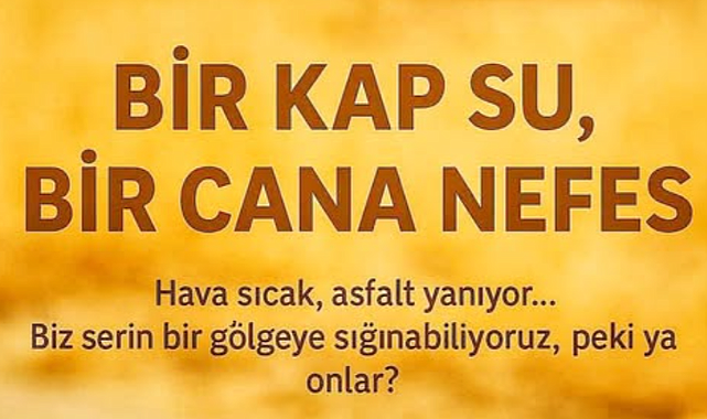BİR KAP SUYUNUZ VAR MI?