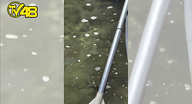 MELEK BAYKAL'DAN BODRUM'DAKİ DENİZ KİRLİLİĞİNE TEPKİ: "BU REZİLLİĞE ARTIK DUR DEYİN!"