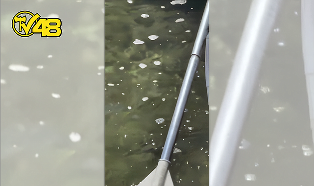 MELEK BAYKAL&#039;DAN BODRUM&#039;DAKİ DENİZ KİRLİLİĞİNE TEPKİ: &quot;BU REZİLLİĞE ARTIK DUR DEYİN!&quot;