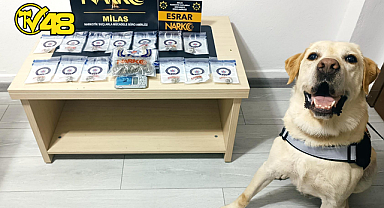 MUĞLA’DA UYUŞTURUCU TACİRLERİNE GEÇİT YOK: MİLAS’TA ESRAR ELE GEÇİRİLDİ