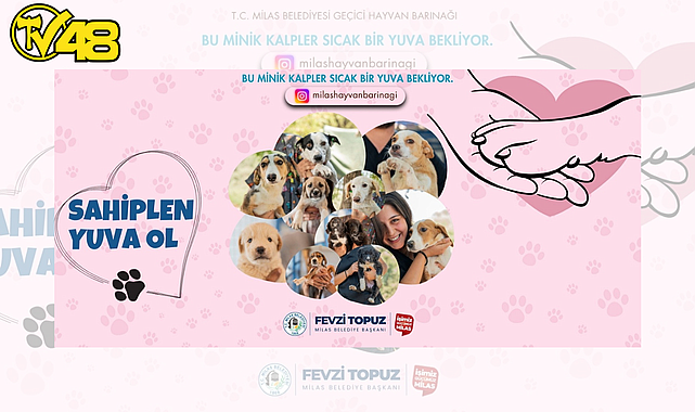 SEVİMLİ DOSTLARIMIZ SICAK YUVALARINI BEKLİYOR