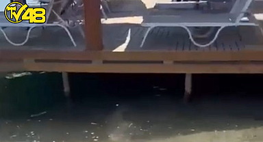 TÜRKBÜKÜ’NDE DENİZ KİRLİLİĞİ TATİLCİLERİ MAĞDUR EDİYOR