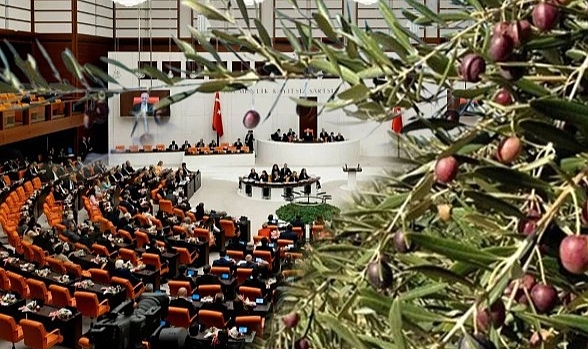 ZEYTİNLİKLERİ KÖMÜRE AÇAN KANUN TEKLİFİ MECLİS’TE KABUL EDİLDİ