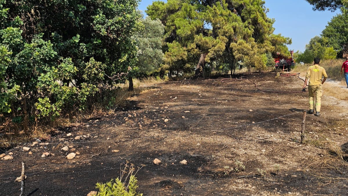 Milas&#039;ta Orman Yangını