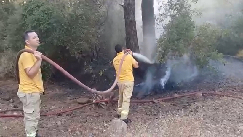 Marmaris&#039;te Orman Yangını