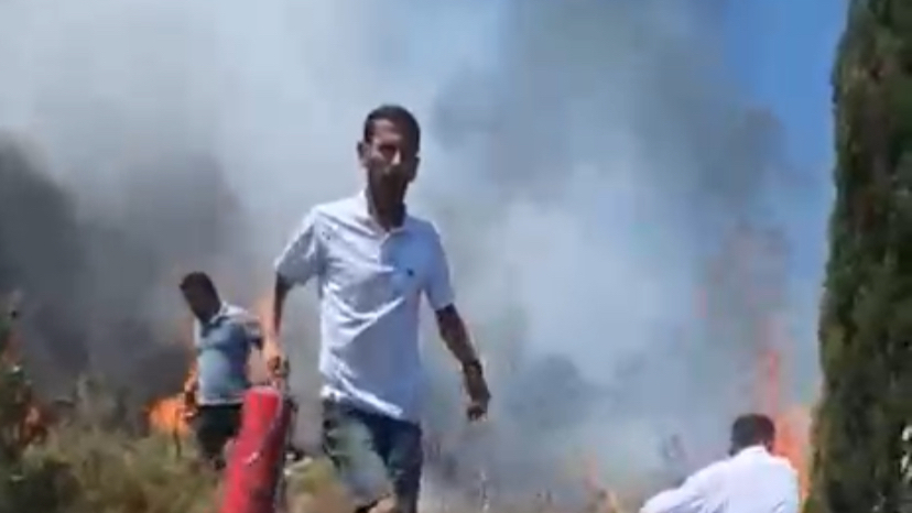 Datça’da Ormanlık Alanda Çıkan Yangın Kontrol Altına Alındı