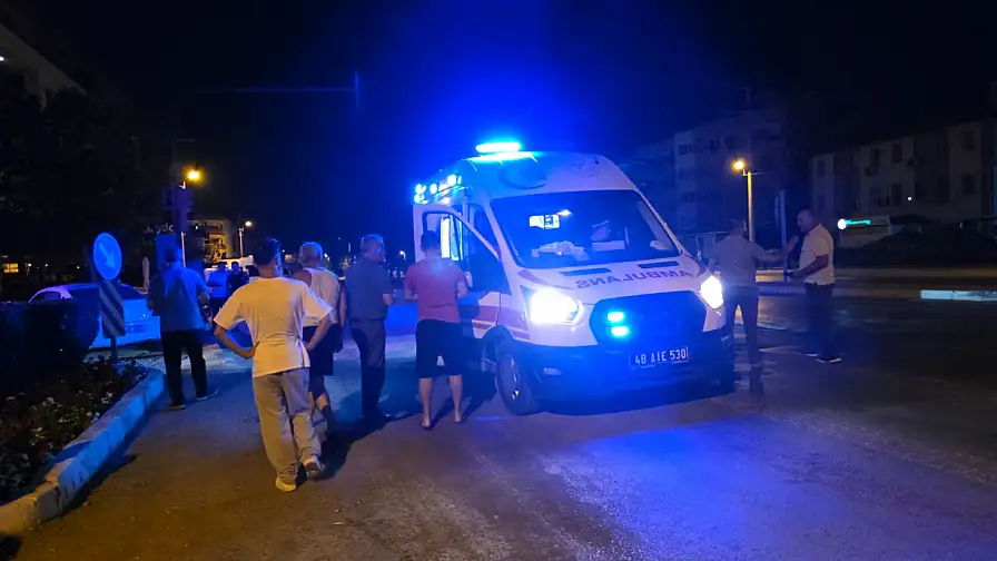Milas&#039;ta Otomobil ve Kamyonet Kafa Kafaya Çarpıştı: 1 Kişi Yaralandı