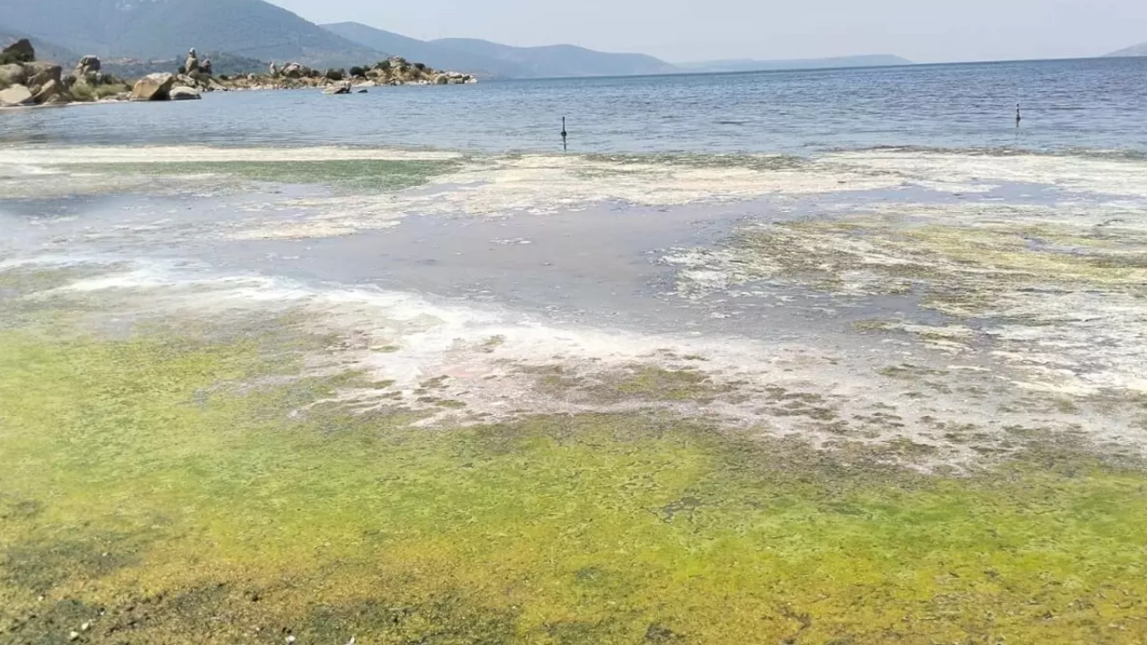 Bafa Gölü Kuruyor, Kirlilik Artıyor