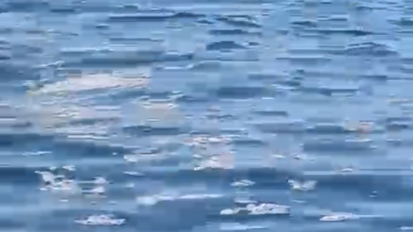 Yalıkavak Açıklarında Kirlilik Şoku: Lüks Yatlardan Denize Atık Bırakıldı