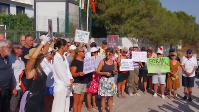 Gümüşlük Forumu’ndan Bodrum’da Hayvan Dostları Eylemi: “Tamam Değil, Devam!”