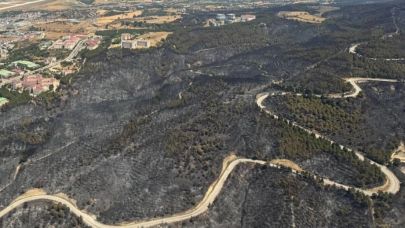 Orman Yangınlarından Etkilenen Alanlarda Avlanmak Yasaklandı