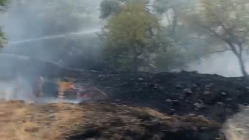 Datça Mesudiye’de Çıkan Yangın Kısa Sürede Kontrol Altına Alındı