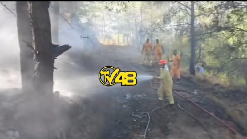 Muğla&#039;da Araç Yangını Ormana Sıçradı