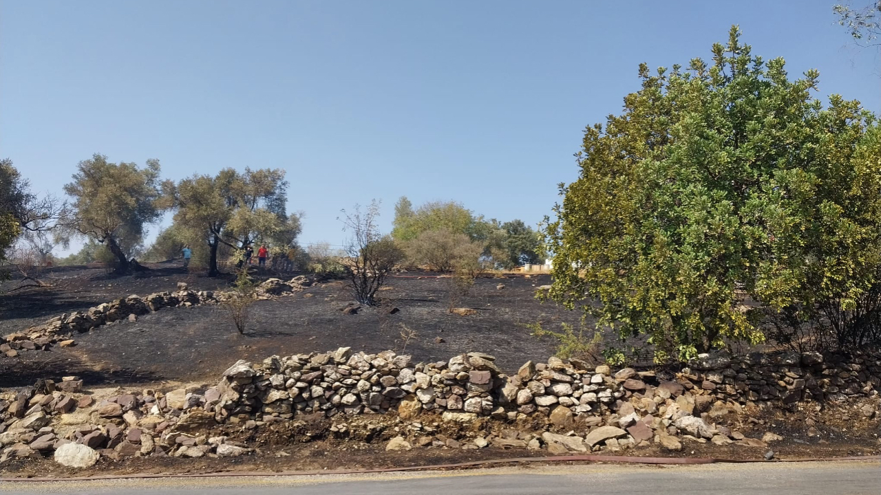 Mumcular’da Yol Kenarında Çıkan Yangın Kontrol Altına Alındı