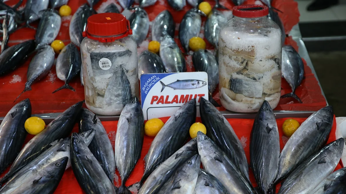 Palamut Yerine Sofralar Bu 2 Türle Dolacak