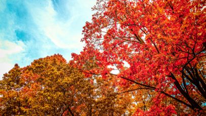 Eylül Ayı Neden Güzeldir