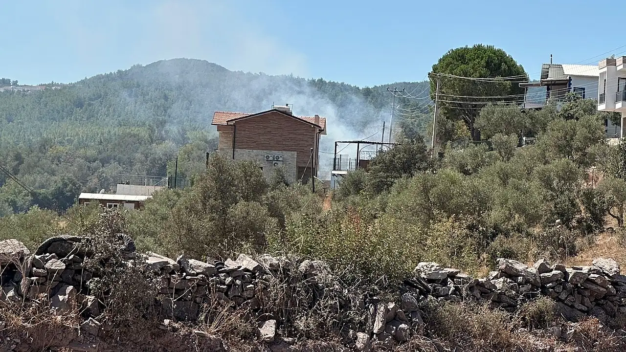Milas Meşelik Mahallesi&#039;nde Çıkan Yangına Ekipler Anında Müdahale Etti