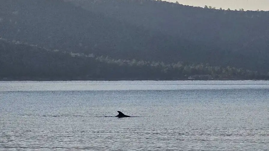 Milas’ta Eylül Sakinliğiyle Doğa Yeniden Sahneye Çıktı