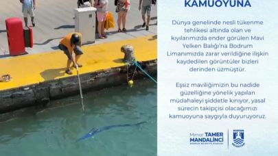 Bodrum Limanı’ndaki Vahşete Tepki Büyüyor!
