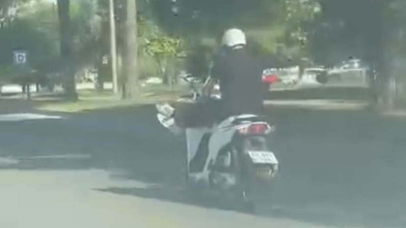 Muğla’da Motosiklet Sürücüsünden Tehlikeli Hareketler