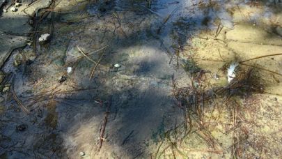 Evlerde Su Yok, Sokaklar Derya Deniz!