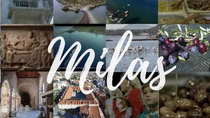 Milas: Yaşanan Problemler ve Alışma Durumu