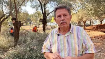 Zeytinleri Söken İsim Ak Parti'li Çıktı