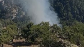 Muğla Köyceğiz’de Yangın