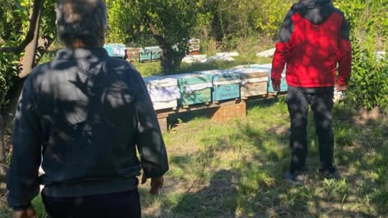 ARILI KOVAN DESTEKLEMELERİ TÜM HIZIYLA DEVAM EDİYOR