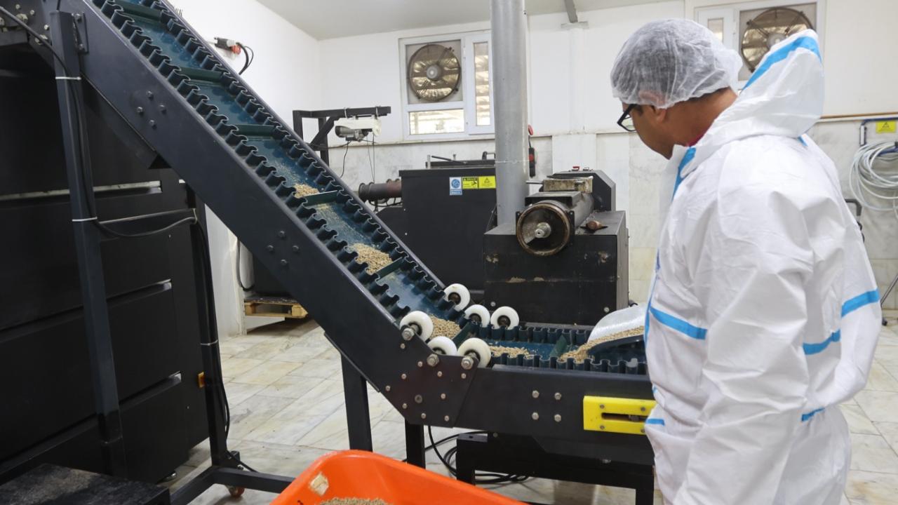 Büyükşehir Can Dostları Unutmuyor: 42 Ton Mama Üretildi