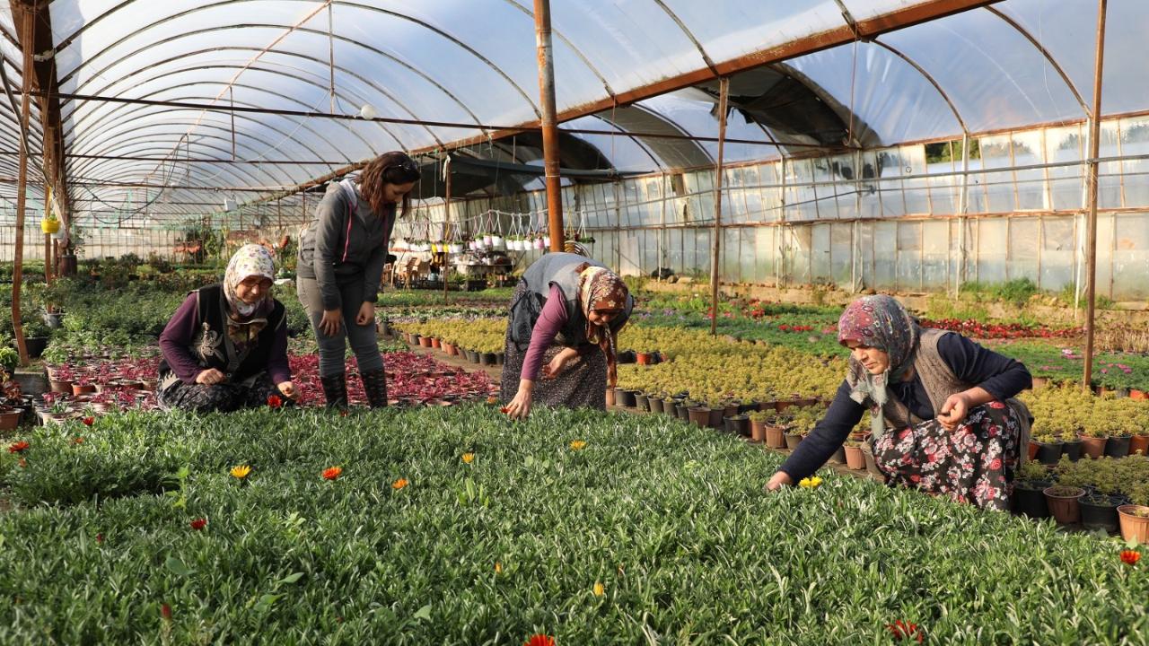 Büyükşehir Kadın Emeğiyle Yerel Kalkınmayı Güçlendiriyor