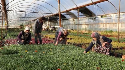 Büyükşehir Kadın Emeğiyle Yerel Kalkınmayı Güçlendiriyor