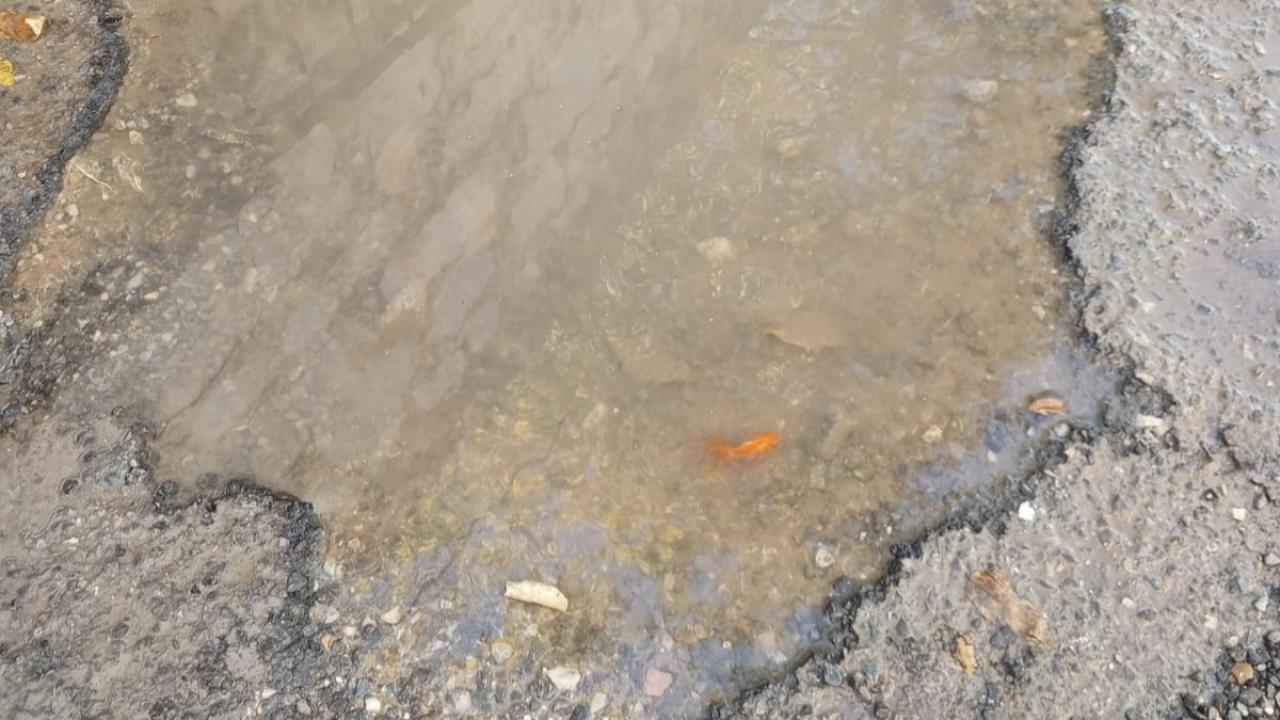 Milas Hayıtlı Mahallesi’nde 1 Yıllık Çukur Tepkilere Neden Oldu