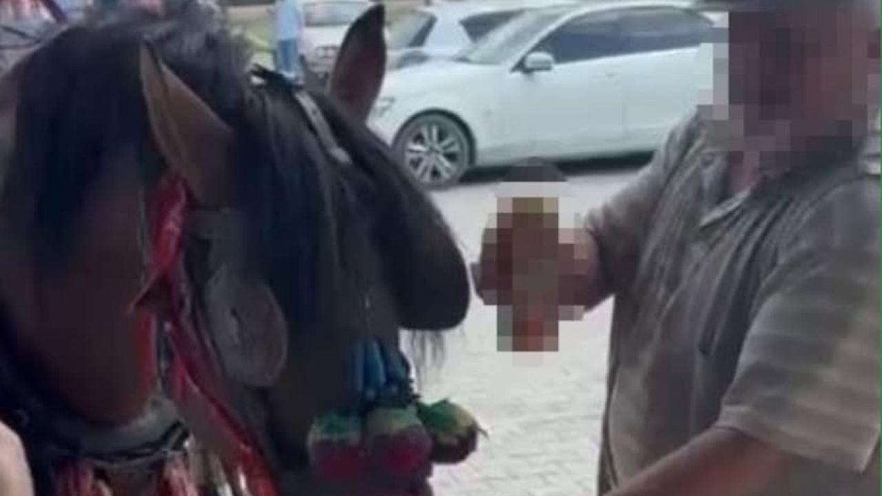 Yatağan’daki Sünnet Merasiminde Fayton Atının Alkol İçtiği Anlar Kamerada