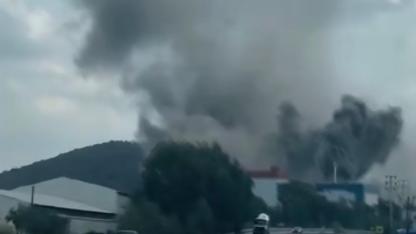 Milas-Güllük Karayolu üzerinde bulunan bir fabrikaya ait binanın çatısında yükselen dumanlar paniğe neden oldu.