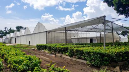 Milas’a Büyük Müjde! Koru’da Tarım Lisesi Projesi Hayata Geçiriliyor