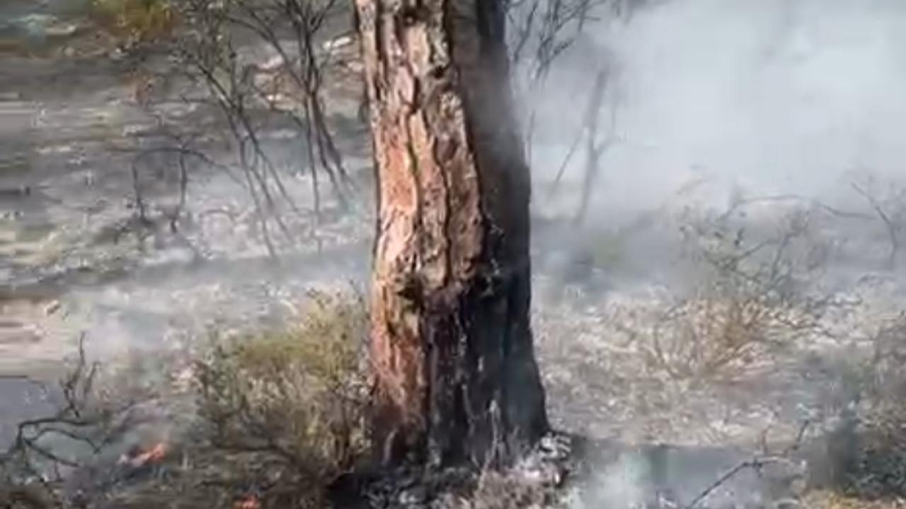Milas’ta Akdağ Mevkiinde Yangın Çıktı
