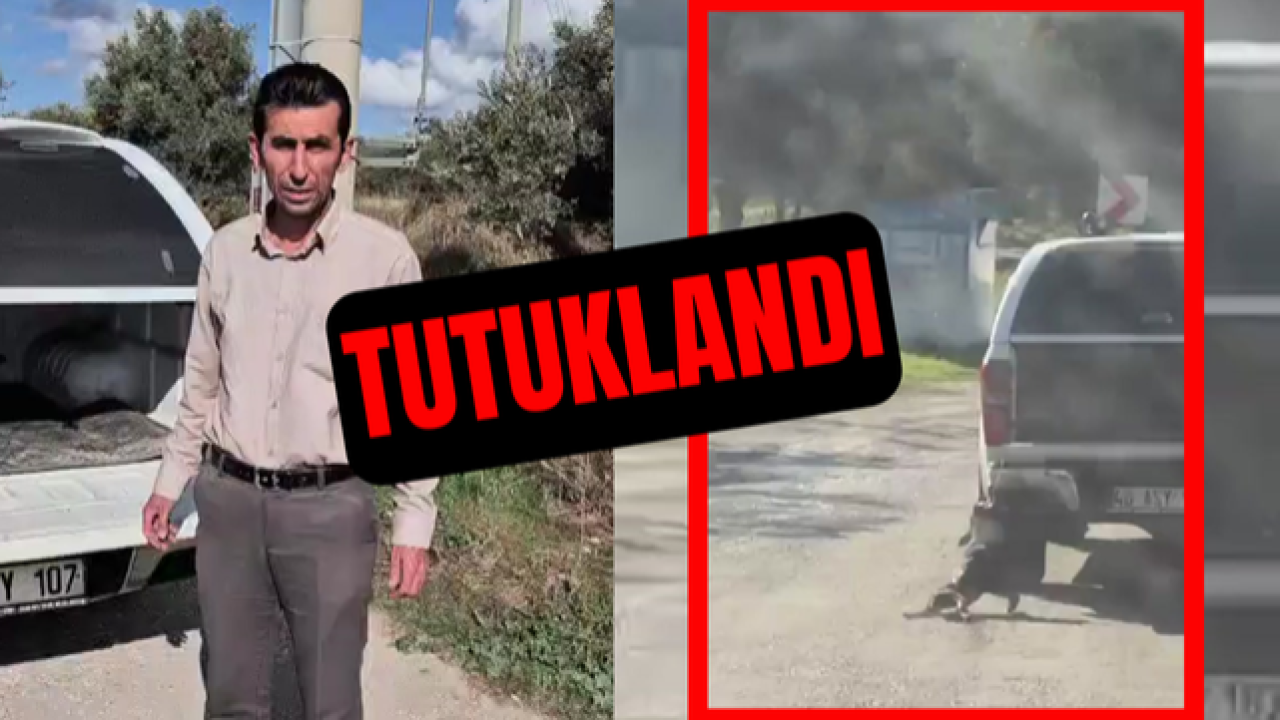 Milas’ta Köpeğini Kamyonetle Sürükleyen Sahip Tutuklandı!