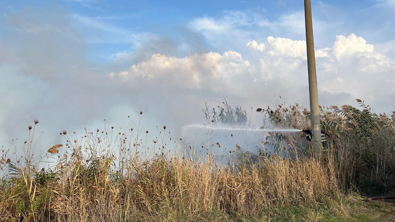 Milas’ta Otluk Alanda Yangın Çıktı