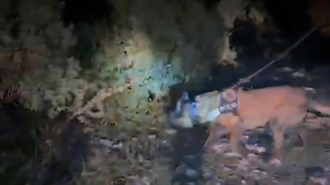 Muğla’da Uyuşturucu Operasyonunda 4 Şüpheli Tutuklandı