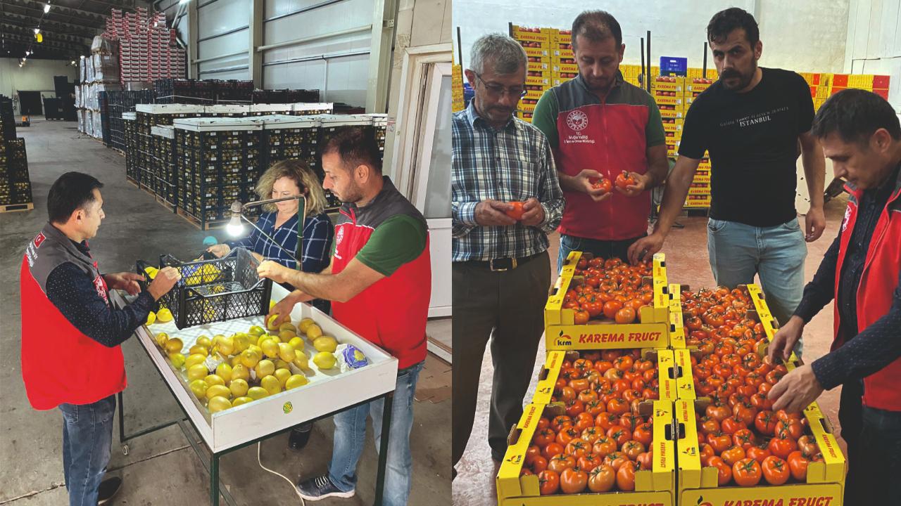 ORTACA’DAN İHRACATA GİDEN SAĞLIKLI ÜRÜNLERE ONAY