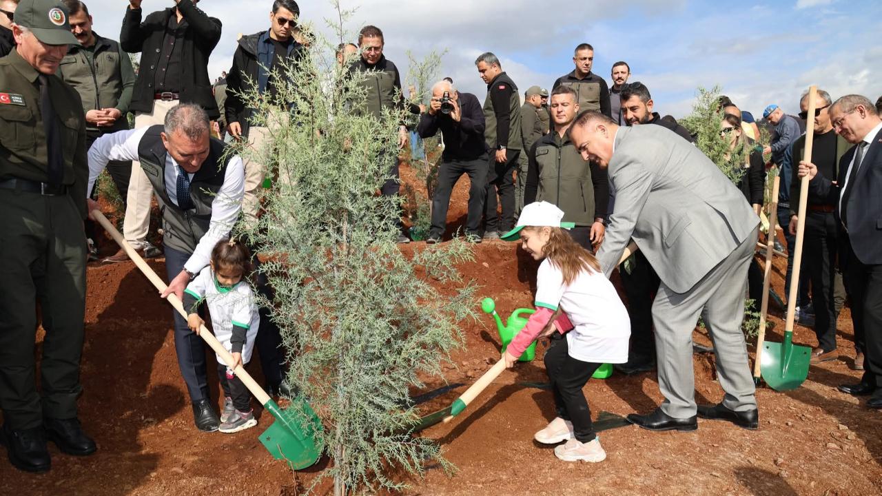 VALİ AKBIYIK YESİL VATAN SEFERBERLİĞİNDE KÖYCEĞİZ&#039;DE FİDAN DİKTİ