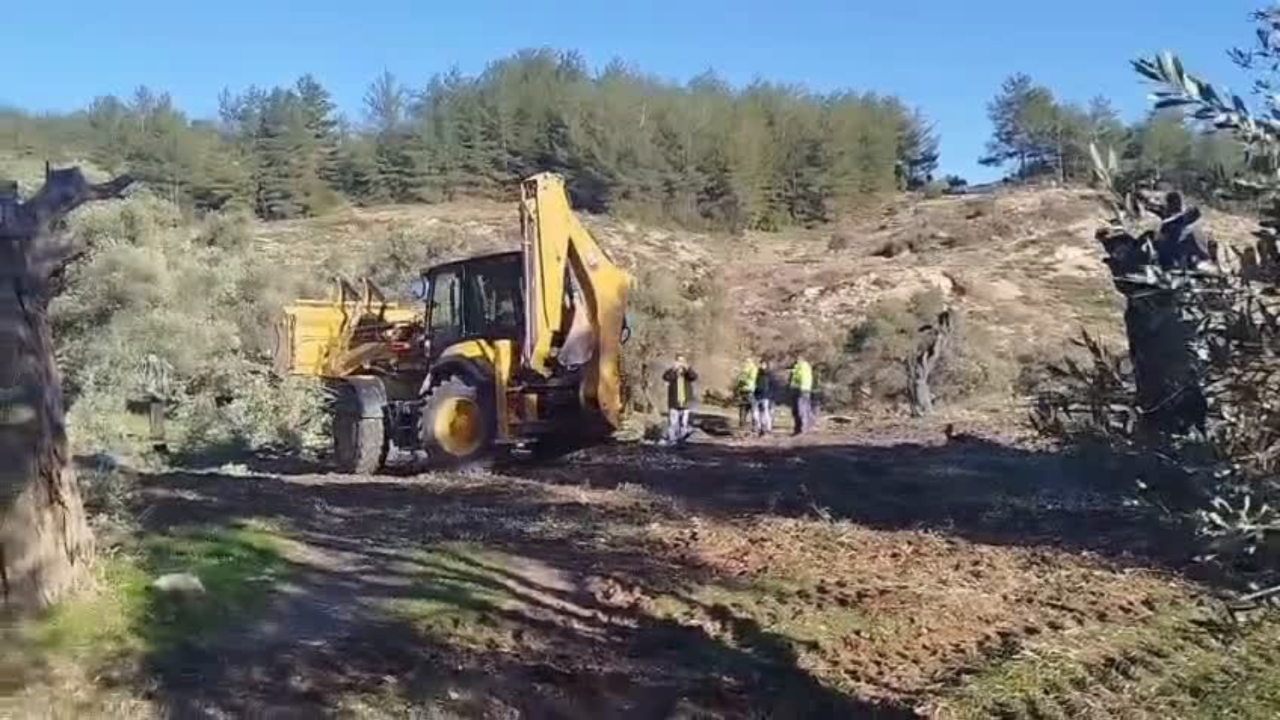 Akbelen’de Tepki Büyüyor: “Bir Lokma Zeytine Muhtaç Olasınız”