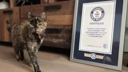 Dünyanın En Yaşlı Kedisi Flossie 30 Yaşında