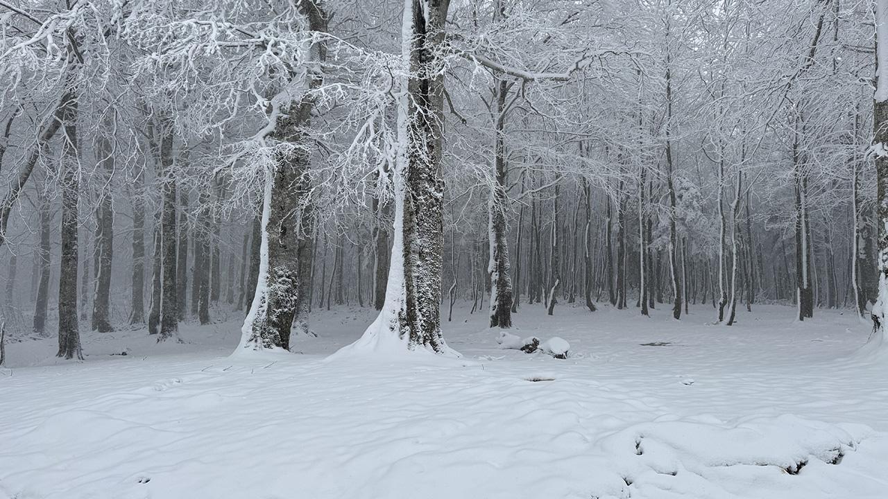 Meteorolojiden 38 İl İçin Sarı ve Turuncu Uyarı