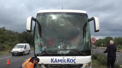 Milas-Bodrum Karayolu’nda Kamyonet ile Yolcu Otobüsü Çarpıştı: 2 Yaralı